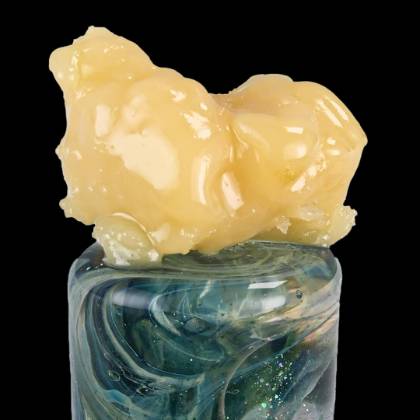 Detailed close-up of our top-shelf Goverment Conspiracy rosin