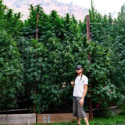 Demonstrating the impressive scale of our plants