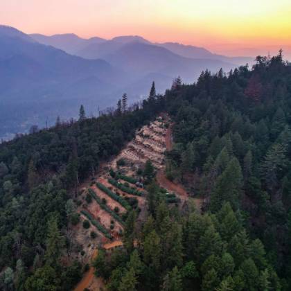 Panoramic view of our sun-drenched valley cultivation