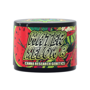 WATERMELON R ROSIN 1G - HASH AND FLOWERS