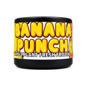 BANANA PUNCH ROSIN 1G - HASH AND FLOWERS